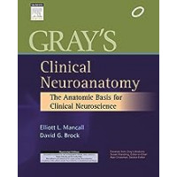 GRAYS CLINICAL NEUROANATOMY THE    ANATOMIC BASIS