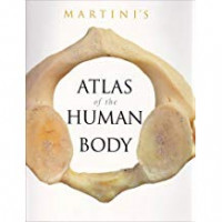 ATLAS OF THE HUMAN BODY