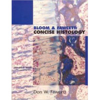 BLOOM & FAWCETT'S CONCISE HISTOLOGY               
