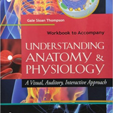 WB to Accompany Understanding Anatomy & Physiology: A Visual, Auditory, Interactive Approach 