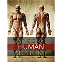 ATLAS OF HUMAN ANATOMY