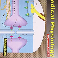 Medical Physiology Illustrated Slides, Part 2